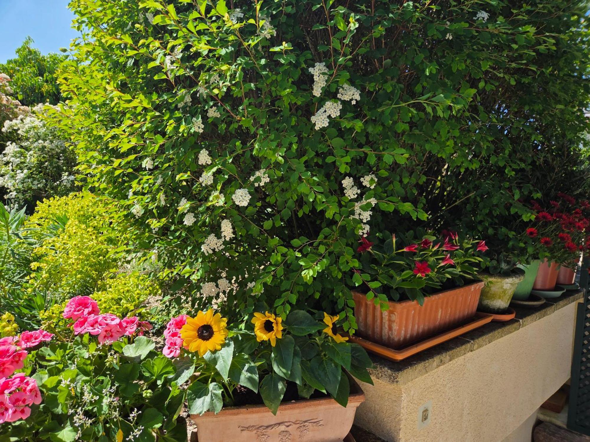 Clair Logis Villa Giverny Bagian luar foto